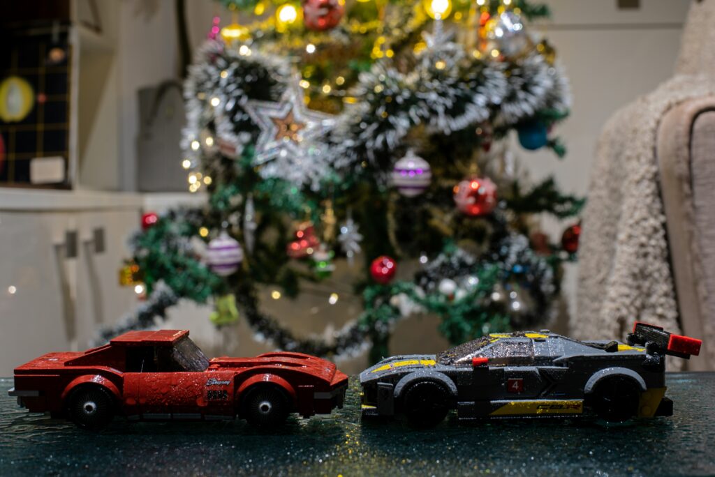 Car Lover in Your Life