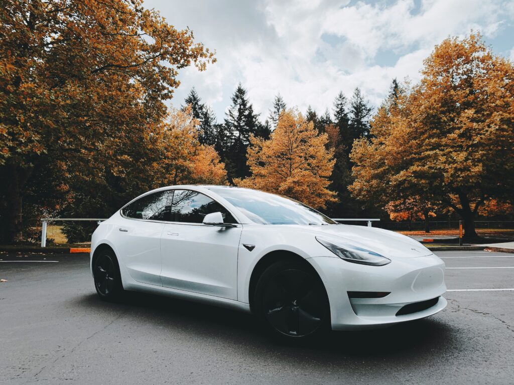 White Tesla Robotaxi